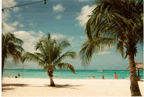 Beach at Hyatt in Aruba